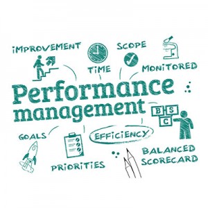 PERFORMANCE MANAGEMENT in LMS