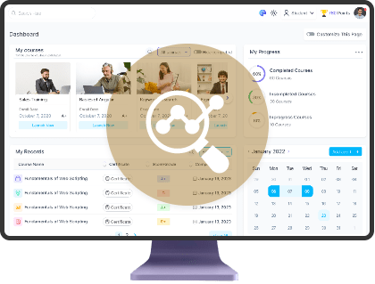 Custom Reporting Tools